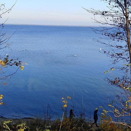 Apartament Delfin Пуцк Экстерьер фото